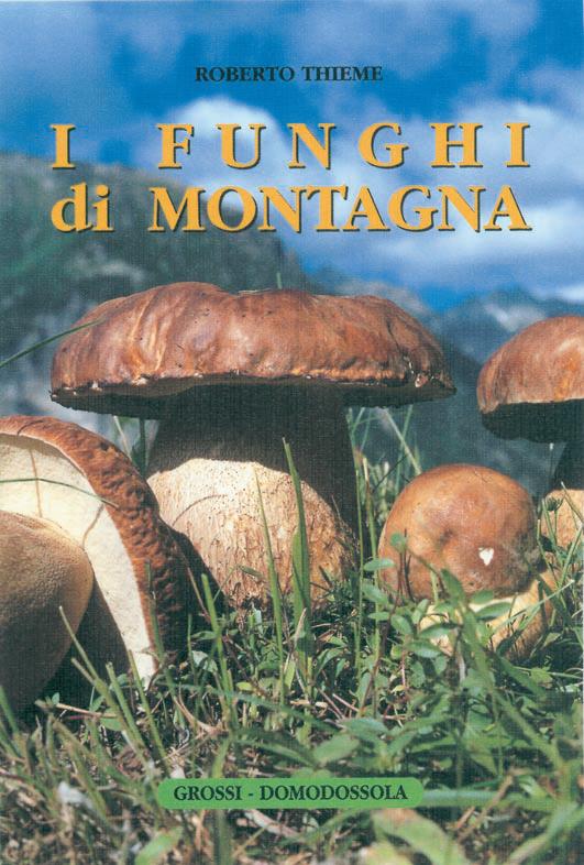 I funghi di montagna